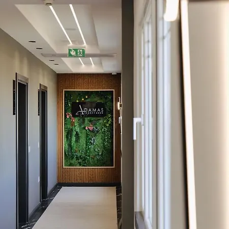 酒店 Adamas & Lezhë