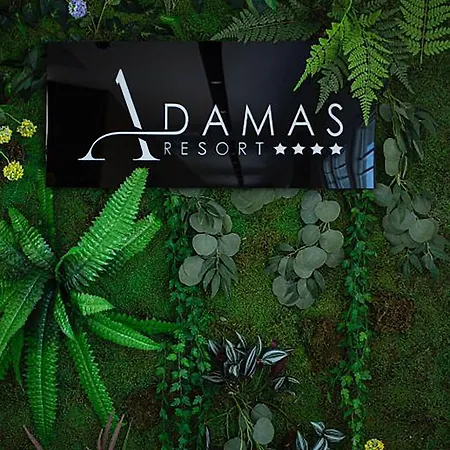 Adamas & Lezhë