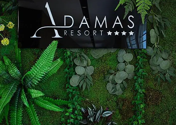 Adamas & Lezhe